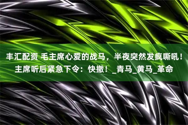 丰汇配资 毛主席心爱的战马,半夜突然发疯嘶吼!主席听后紧急下令:快撤!_青马_黄马_革命